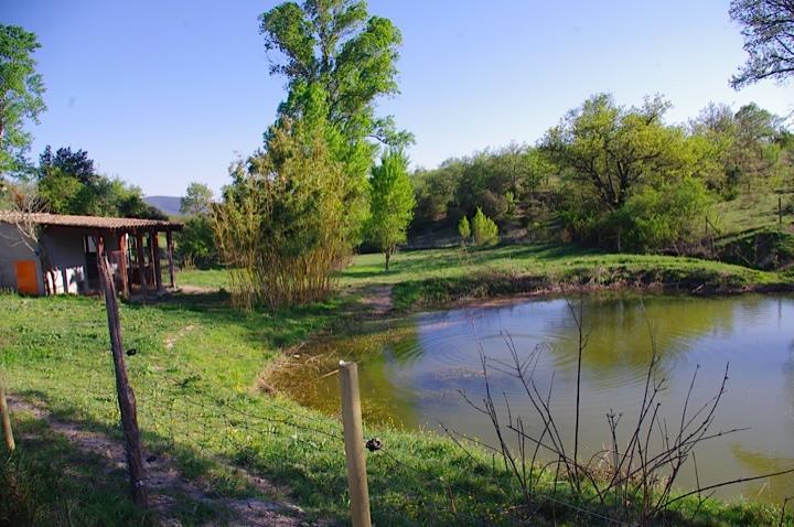 Domaine De Chadeyron Hotel Лагорс Екстериор снимка